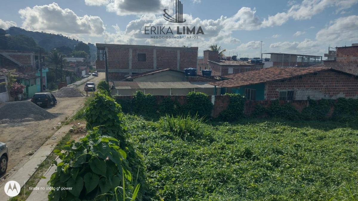 Dois terrenos em Bonança lado a lado, 500m, Moreno-PE